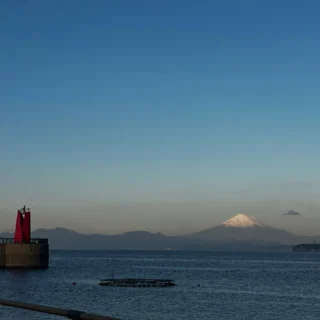 ◾️ヨット競技◾️ザイク◾️ZHIKTEXⅡ◾️zhik◾️上下◾️身長170㎝◾️ダメージ◾️ SAILFAST | Zhik（ザイク）公式オンラインショップ ◾️ヨット競技